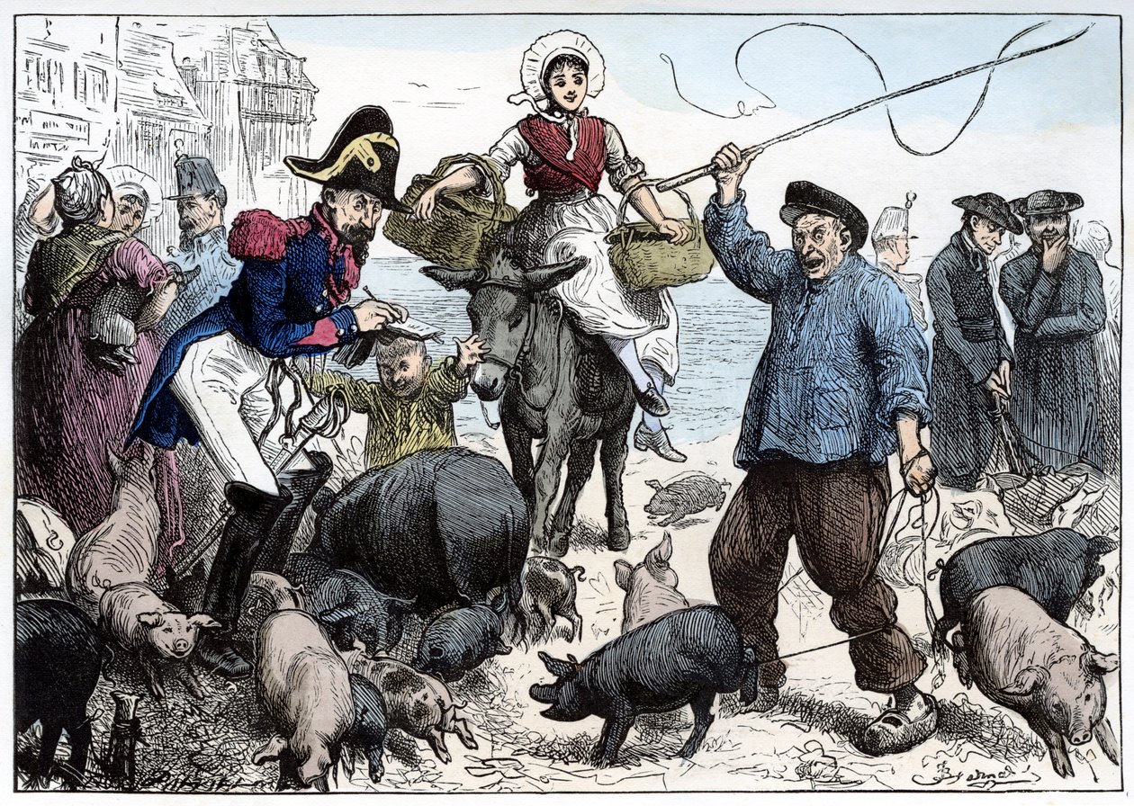 Pig Market, Boulogne by Frederick Barnard