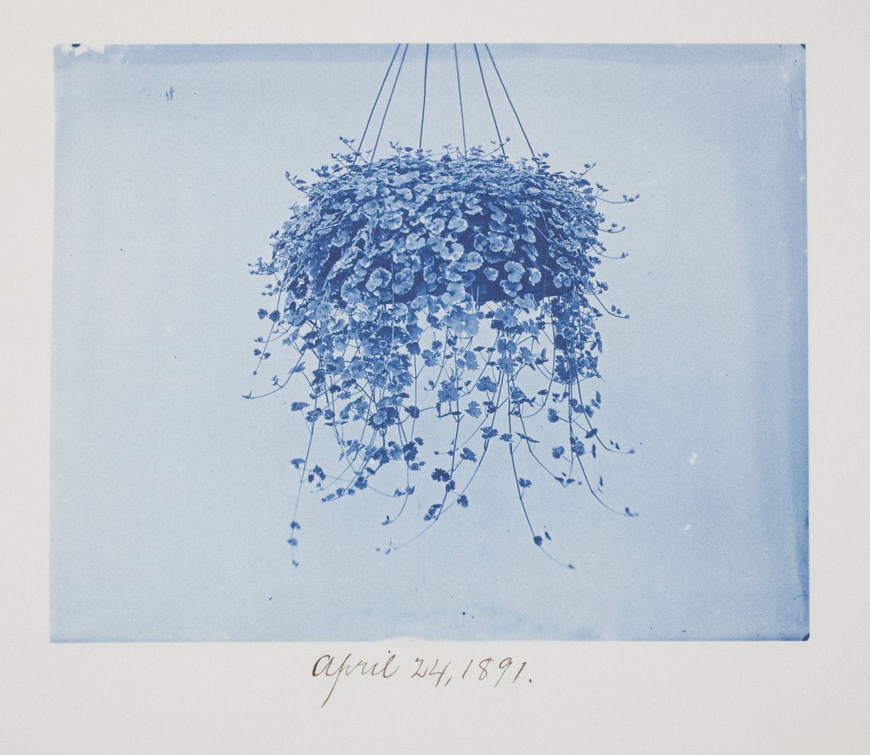 Untitled, April 24 by Frederick K. Coulson
