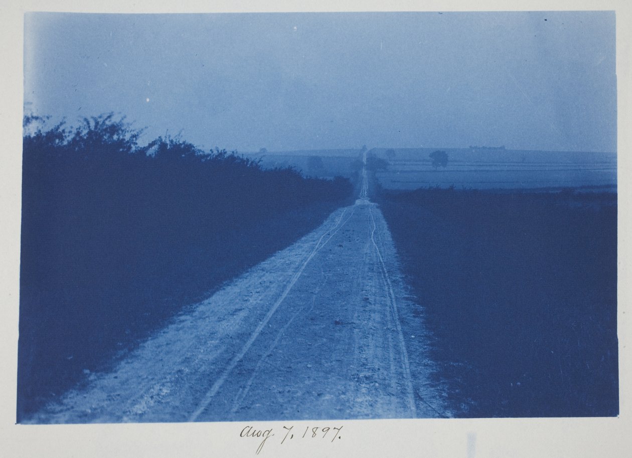 Untitled, August 7 by Frederick K. Coulson