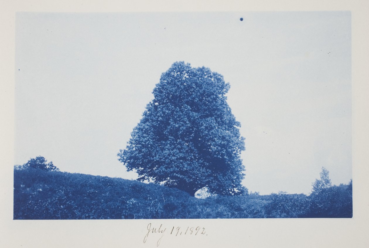 Untitled, July 19 by Frederick K. Coulson