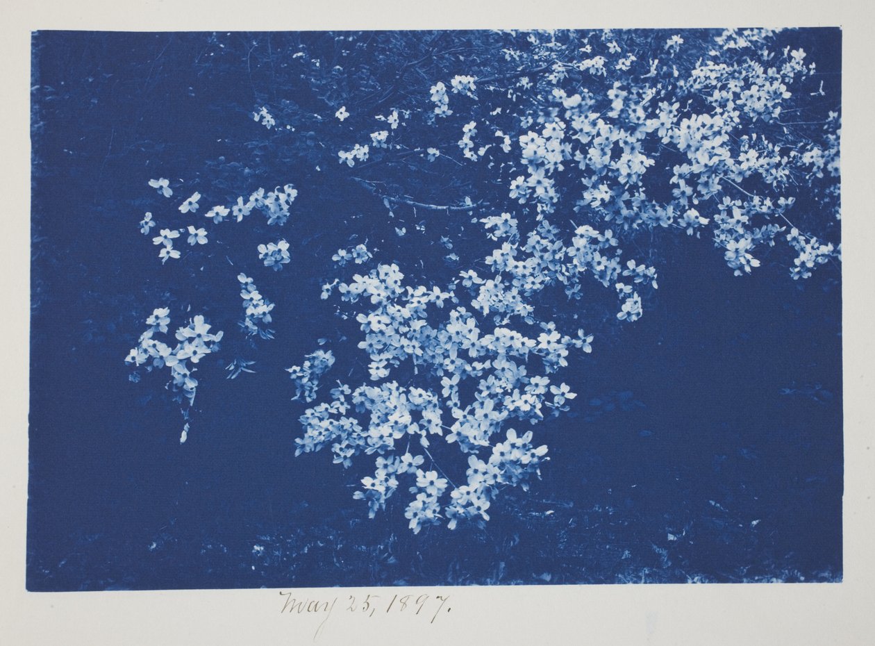 Untitled, May 25 by Frederick K. Coulson
