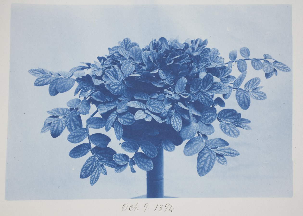 Untitled, October 9 by Frederick K. Coulson