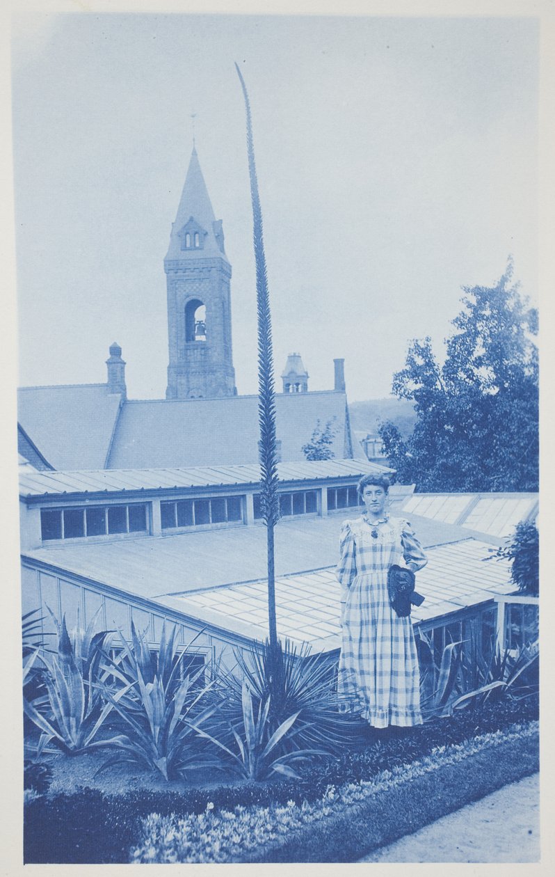 Untitled, late 19th–early 20th century by Frederick K. Coulson