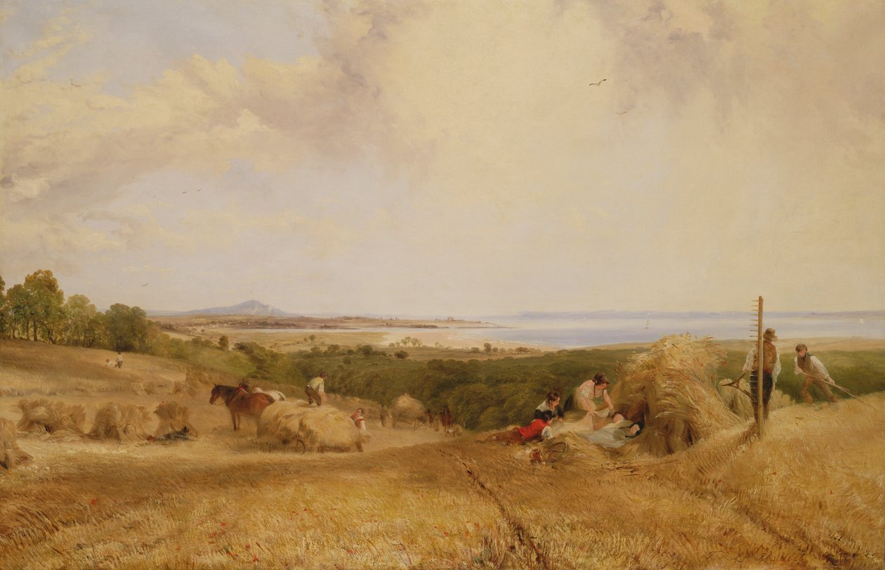 The Harvest Field, 1846 by Frederick Richard Lee