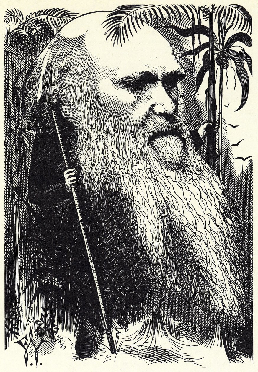 Charles Darwin by Frederick Waddy