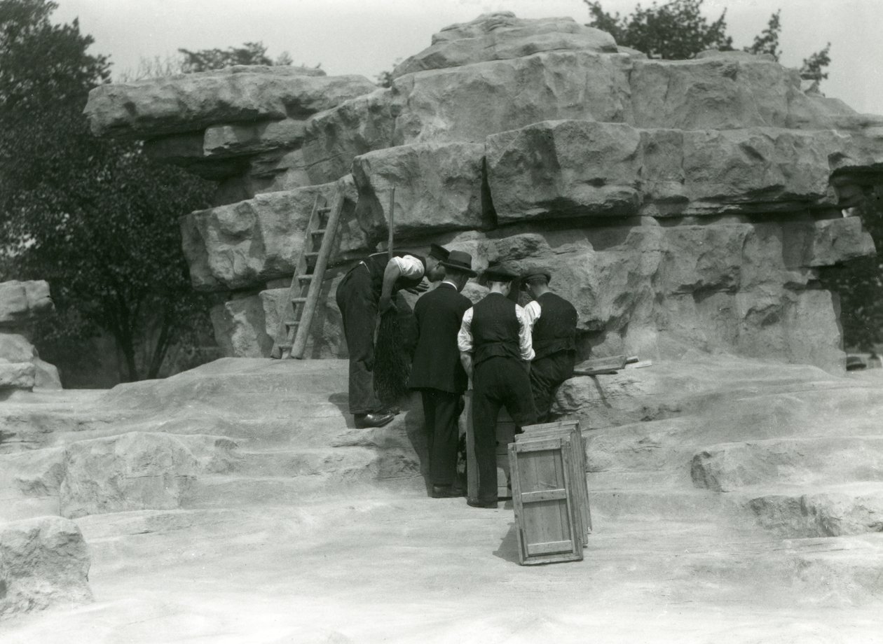 A group of keepers unpacking Sacred Baboons among the rocks of 
