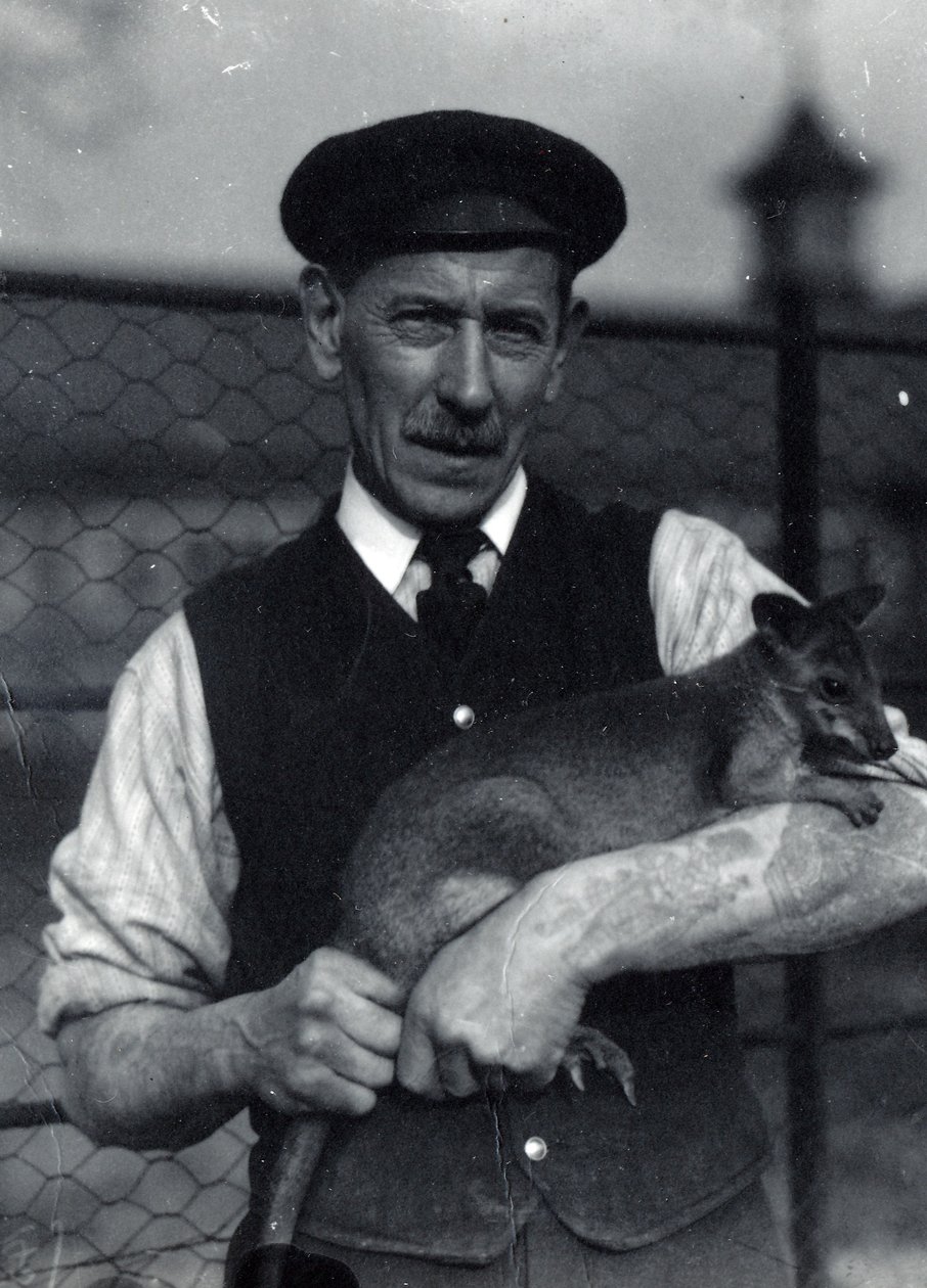 A keeper holds a wallaby, October 1920 by Frederick William Bond