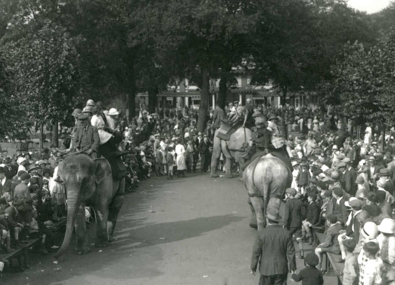 Elephant Rides, with Three Asiatic Elephants Watched by Crowds of Onlookers at London Zoo in August 1926 by Frederick William Bond