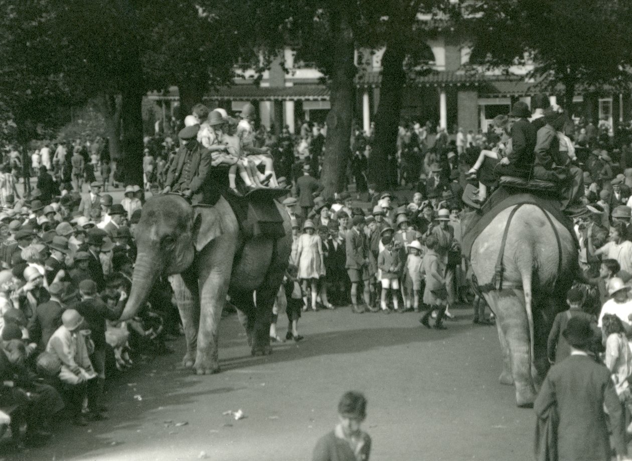 Elephant Rides, with Two Asiatic Elephants Watched by Crowds of Onlookers at London Zoo in August 1926 by Frederick William Bond