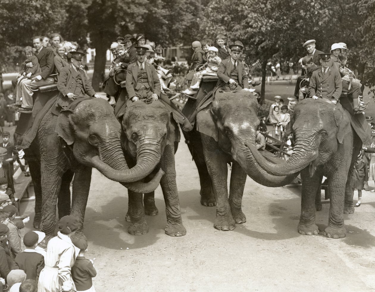 Elephant rides at London Zoo, July 1936 by Frederick William Bond