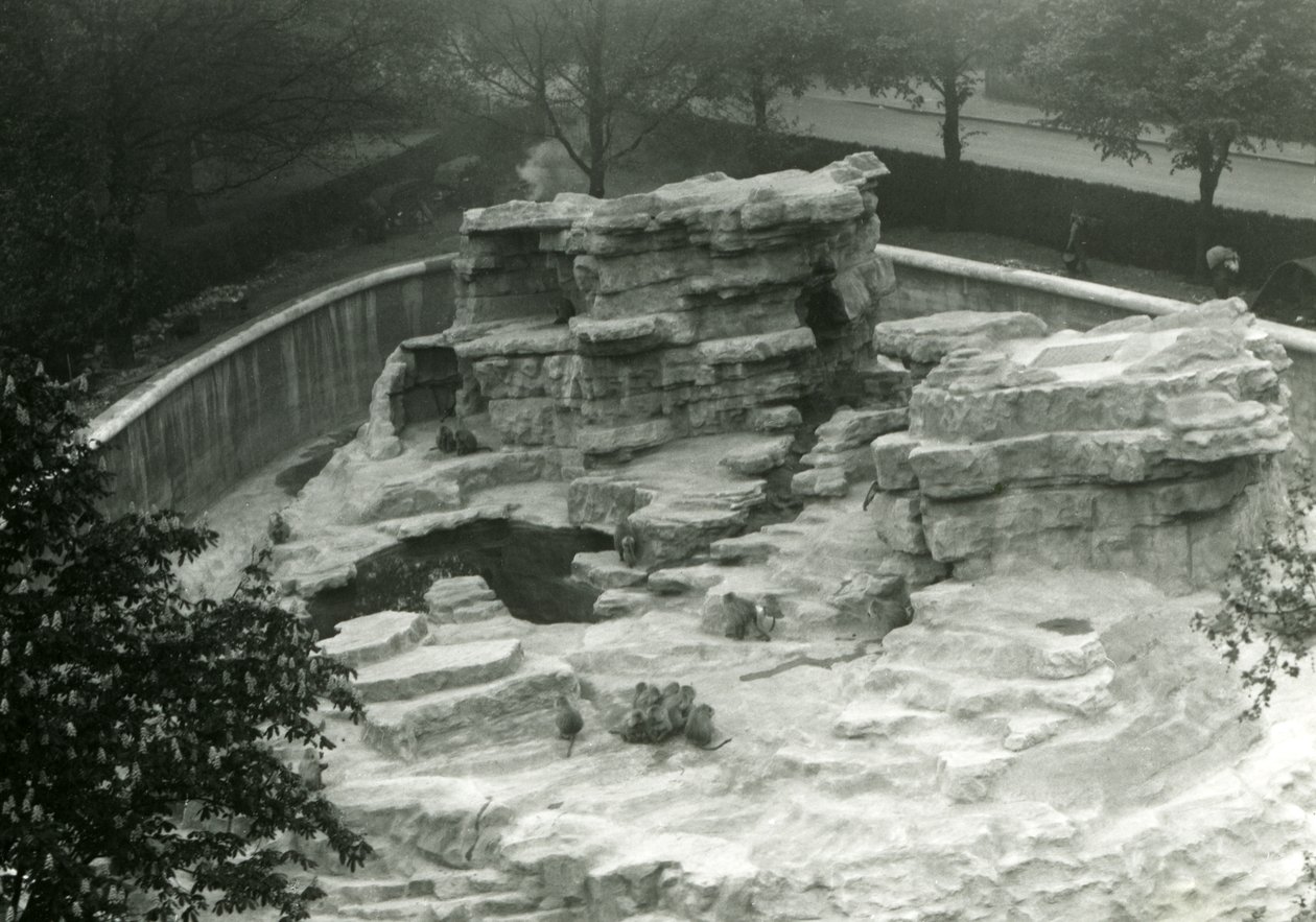 Monkey Hill Seen from the Top of the Mappin Terraces, London Zoo by Frederick William Bond