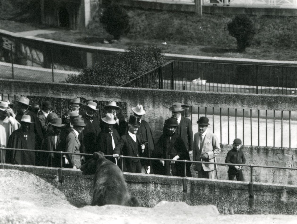 Sir Peter Chalmers Mitchell with Ethiopian Regent Haile Selassie and his entourage viewing a Brown Bear at London Zoo, 1924 by Frederick William Bond