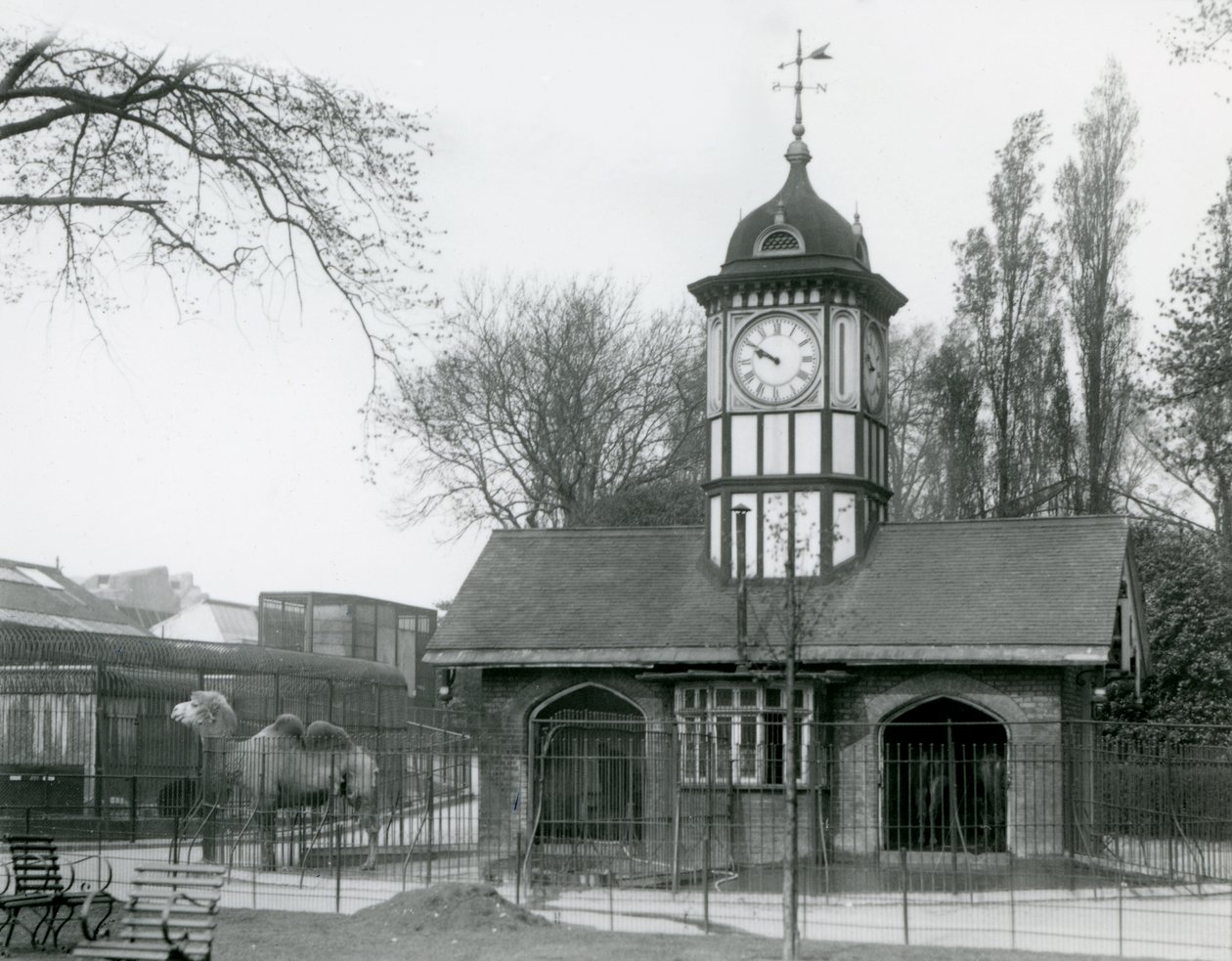 The Camel House, London Zoo by Frederick William Bond