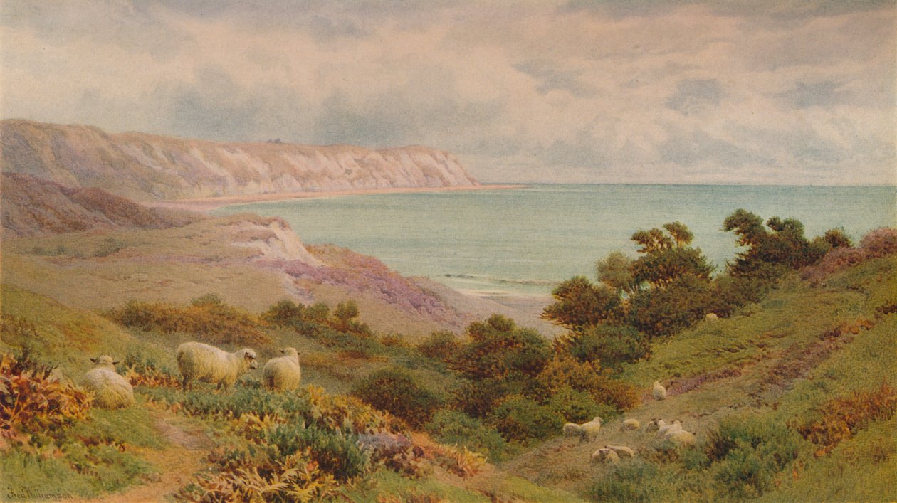 The Warren, Folkestone by Frederick Williamson