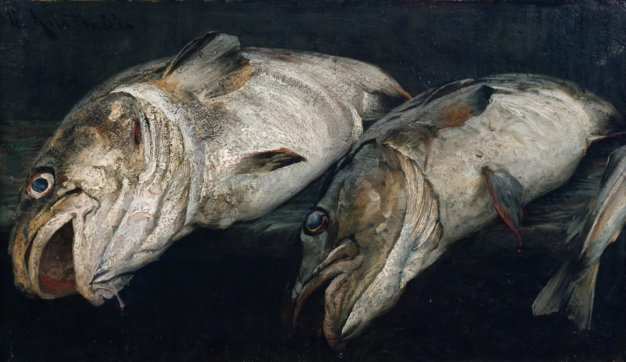 Cod by Fredrik Kolstoe