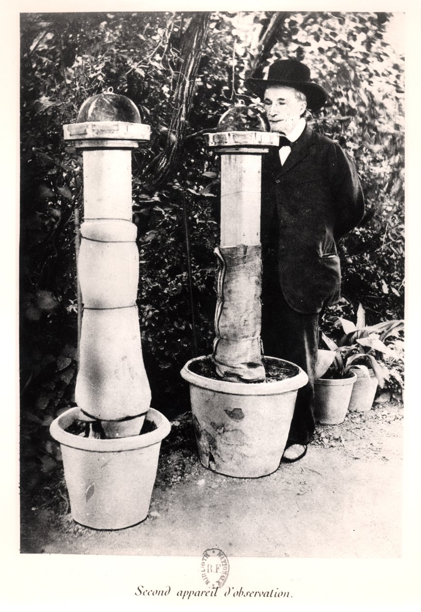 Jean-Henri Fabre from Souvenirs Entomologiques, published in 1924 by French Photographer