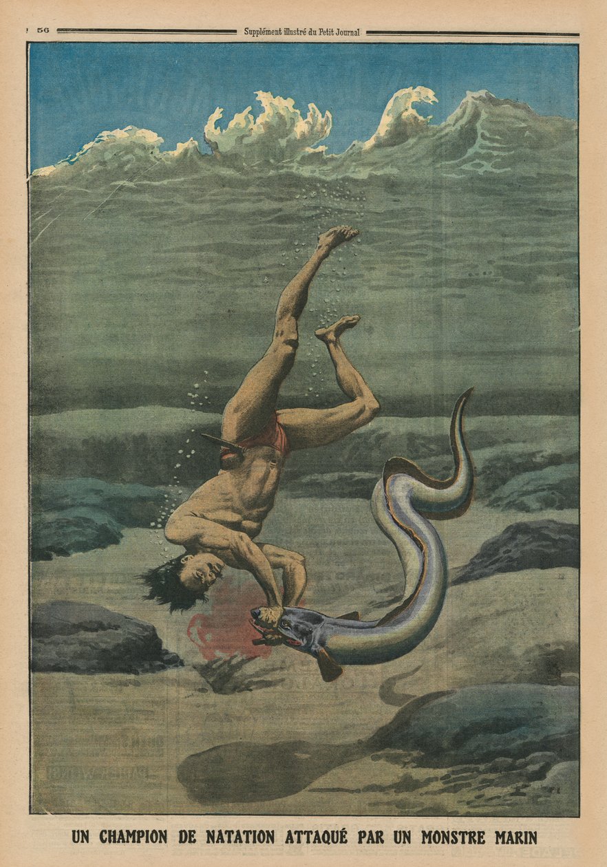 A Swimming Champion Attacked by a Sea Monster, back cover illustration from 