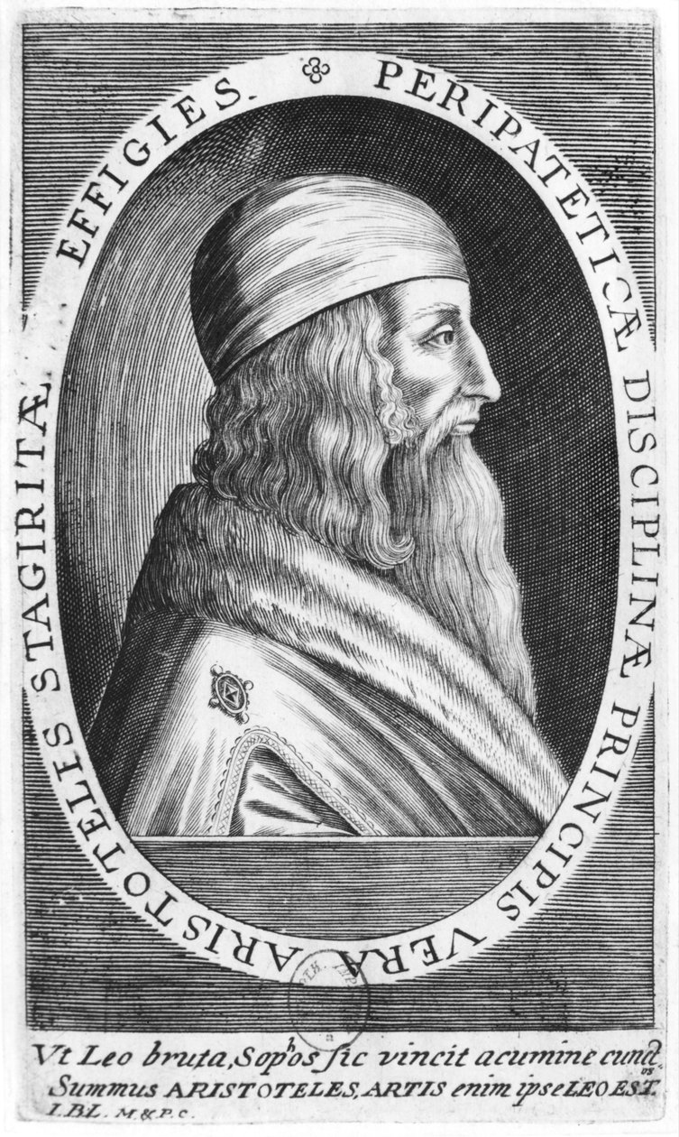 Aristotle by French School