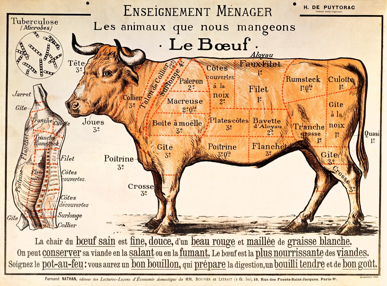 Beef: Diagram Depicting the Different Cuts of Meat