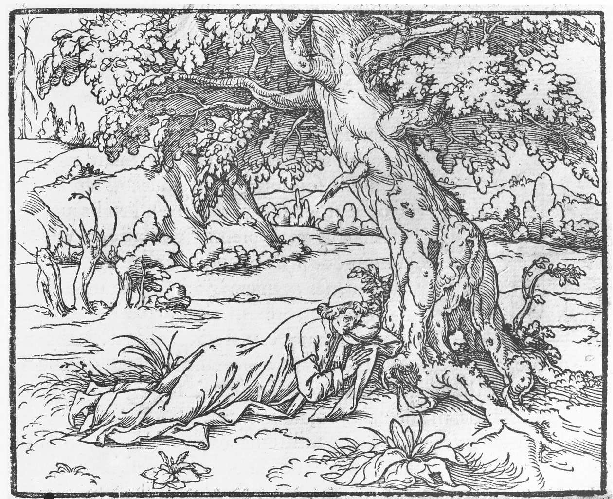 Page from Discours du Songe de Poliphile, by Francesco Colonna, 1546 by French School