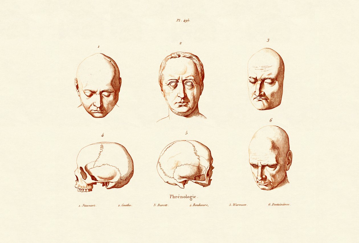Phrenology by French School