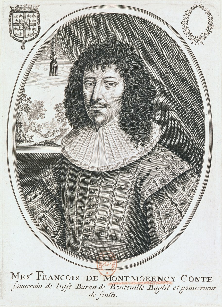 Portrait of Francois de Montmorency by French School
