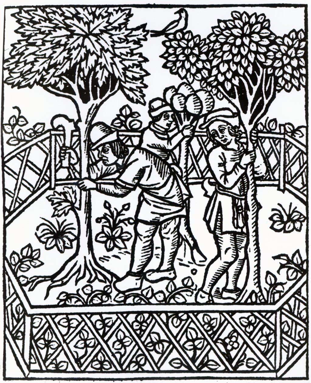 Tending Vines from 