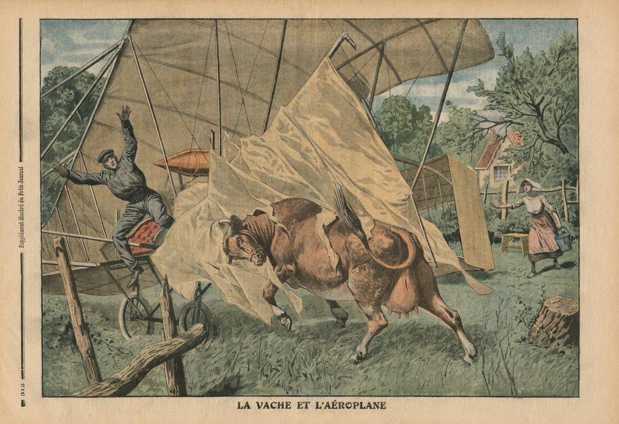 The Cow and the Airplane, Illustration from 