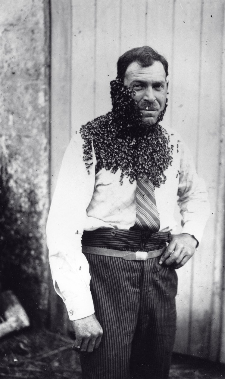 Beekeeper Angel Peuchaud Covered with Bees in Angouleme, Charentes, France by French Photographer