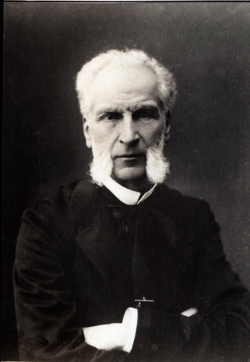 Portrait of Aime Joseph Edmond Rousse, French lawyer by French Photographer