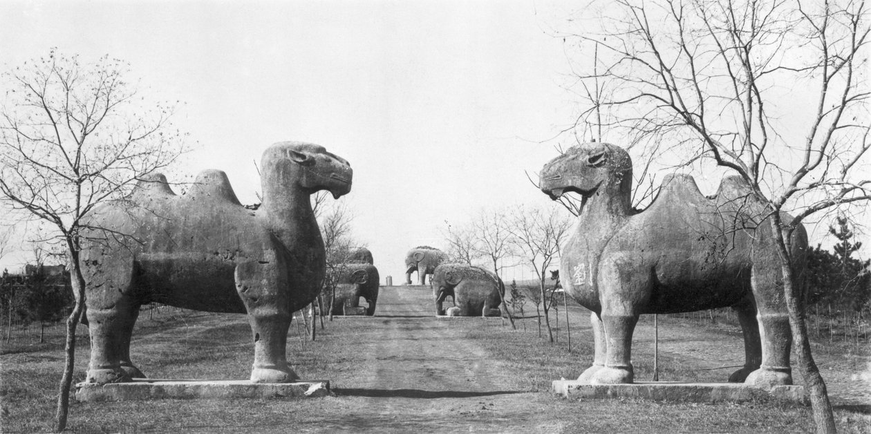 Sacred path to the tomb of the Ming Emperor Hongwu at Nanjing, China by French Photographer