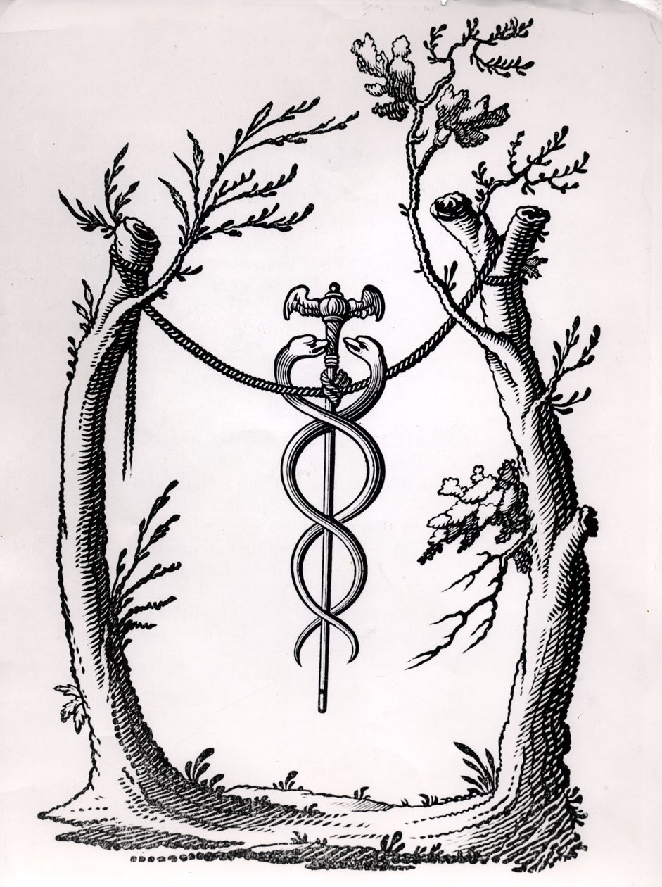 A Caduceus by French School