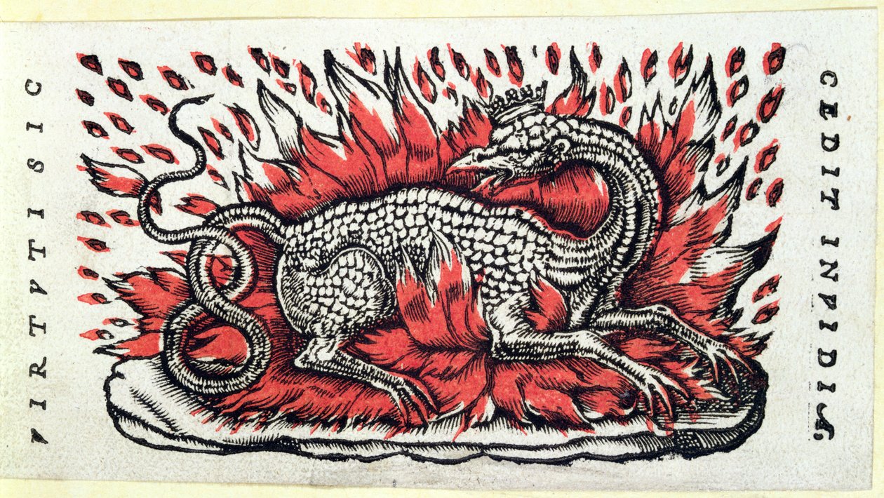A Salamander, 1st half 16th century by French School