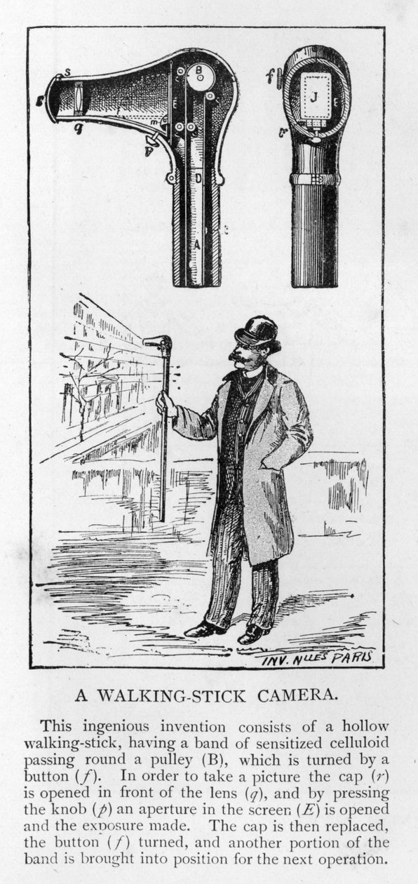 A Walking-stick Camera by French School