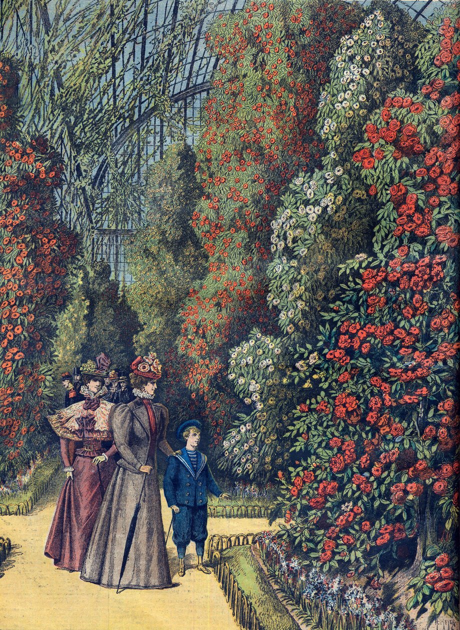 Camellia Greenhouse in a Botanical Garden by French School