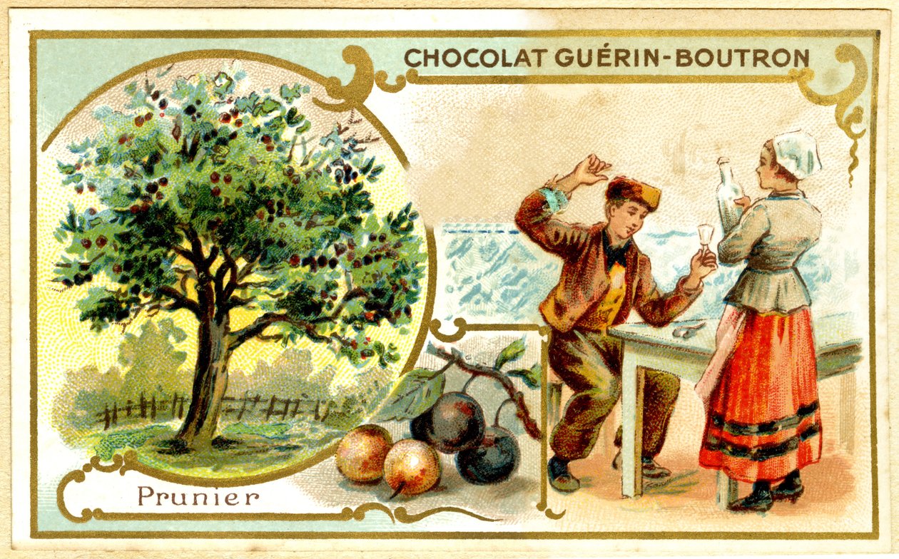 Advertising Chromolithography of Guérin Boutron Chocolates by French School