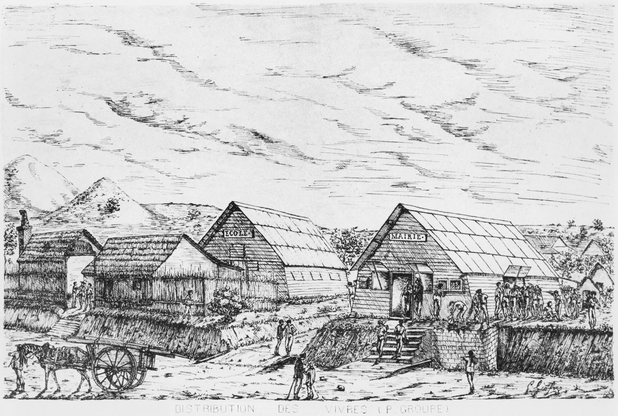 Distribution of Supplies, 1878-79 by French School