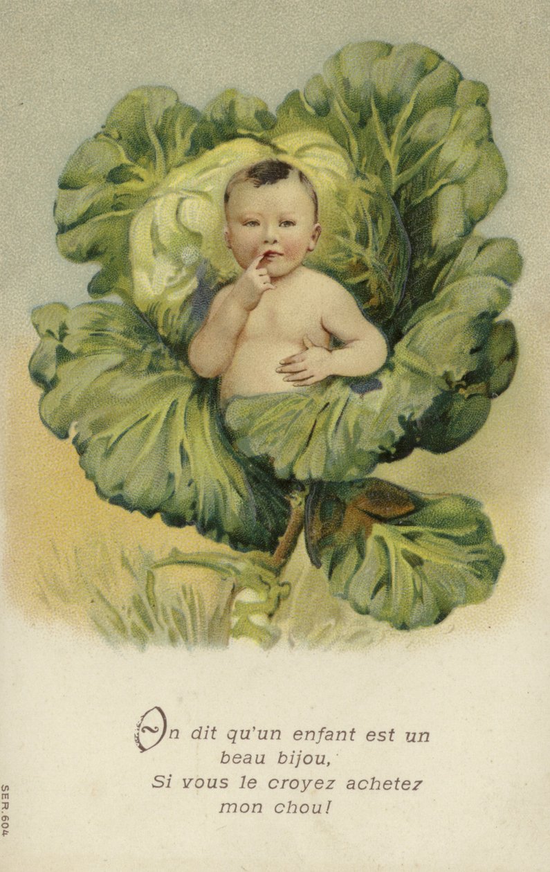 Baby in a Cabbage by French School