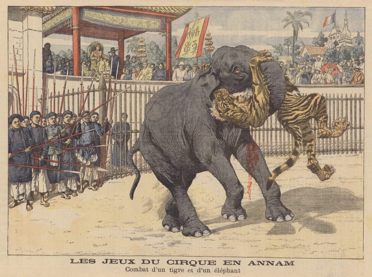 Battle Between an Elephant and a Tiger in a Circus in Annam, Indochina by French School