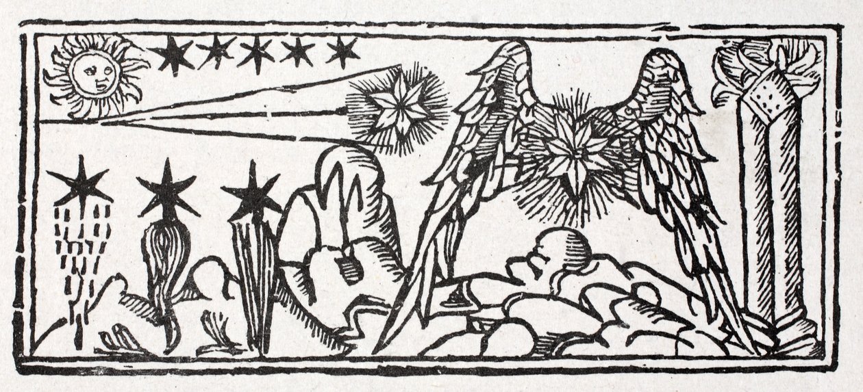 Bearded Stars, a Shooting Star, Tail of a Comet, a Long-Haired Star, a Pinned Down Star by French School