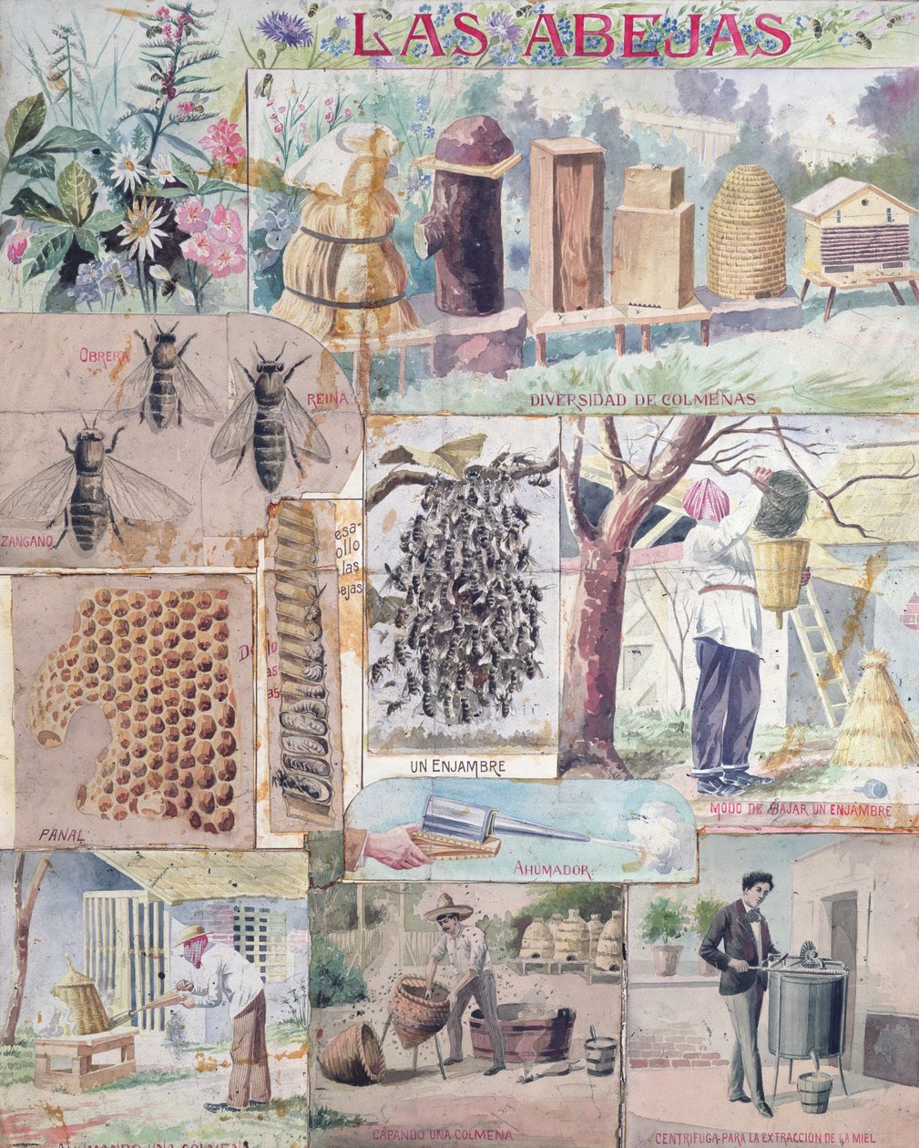 Bee Culture, illustration made in France intended for publication in Mexico, c. 1900 by French School