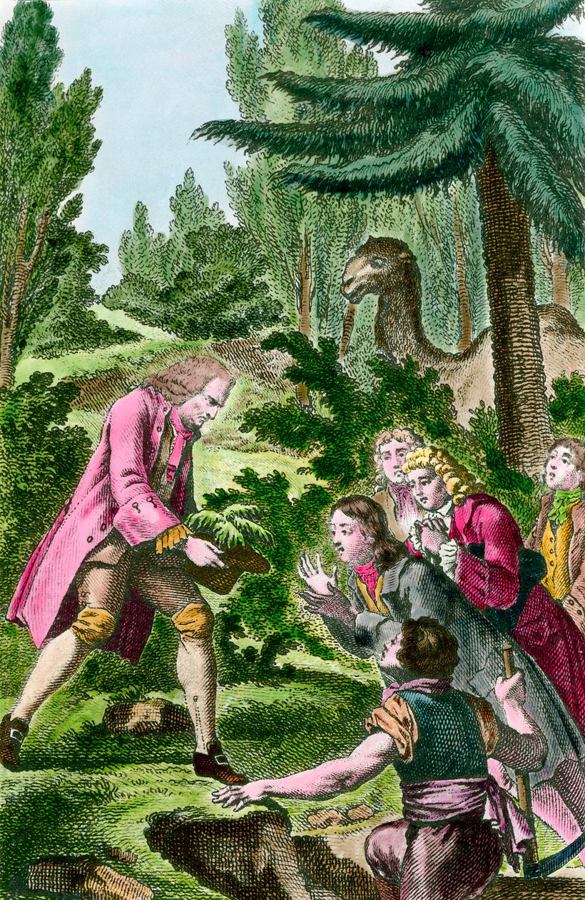 Bernard de Jussieu planting cedar from Lebanon in the garden of plants in Paris in 1734 by French School