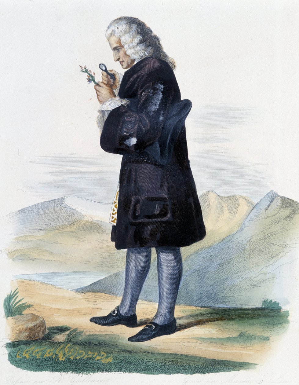 Bernard de Jussieu - in Ed. Mennechet, 