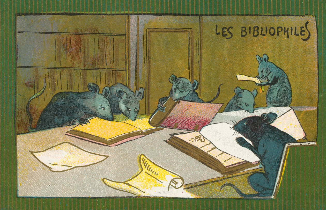 Bibliophile Rats by French School