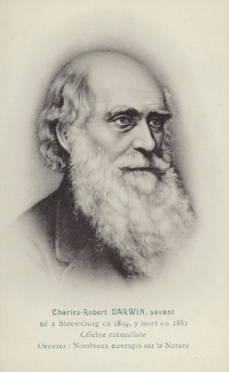 Charles Darwin (1809-1882) by French School