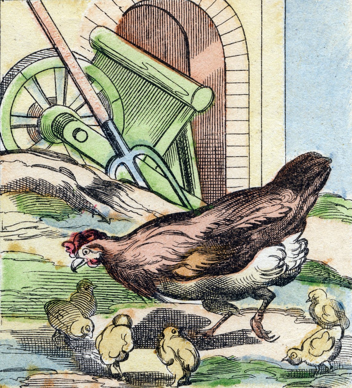 Chicken and Chicks (Engraving in "Buffon Alphabet des Oiseaux n 2") by French School