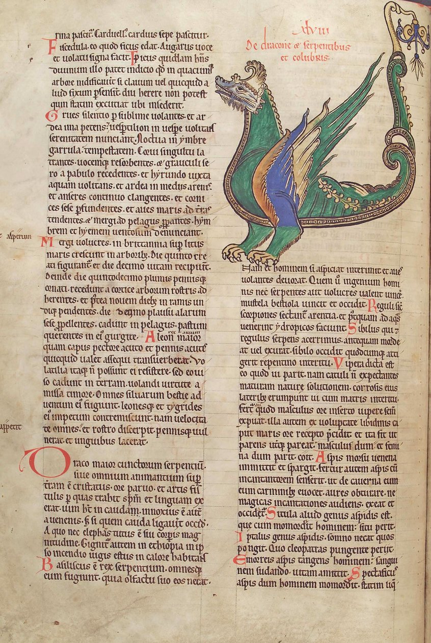 Text with Illustration of a Dragon, from Liber Floridus by Lambert de Saint-Omer c.1120 by French School