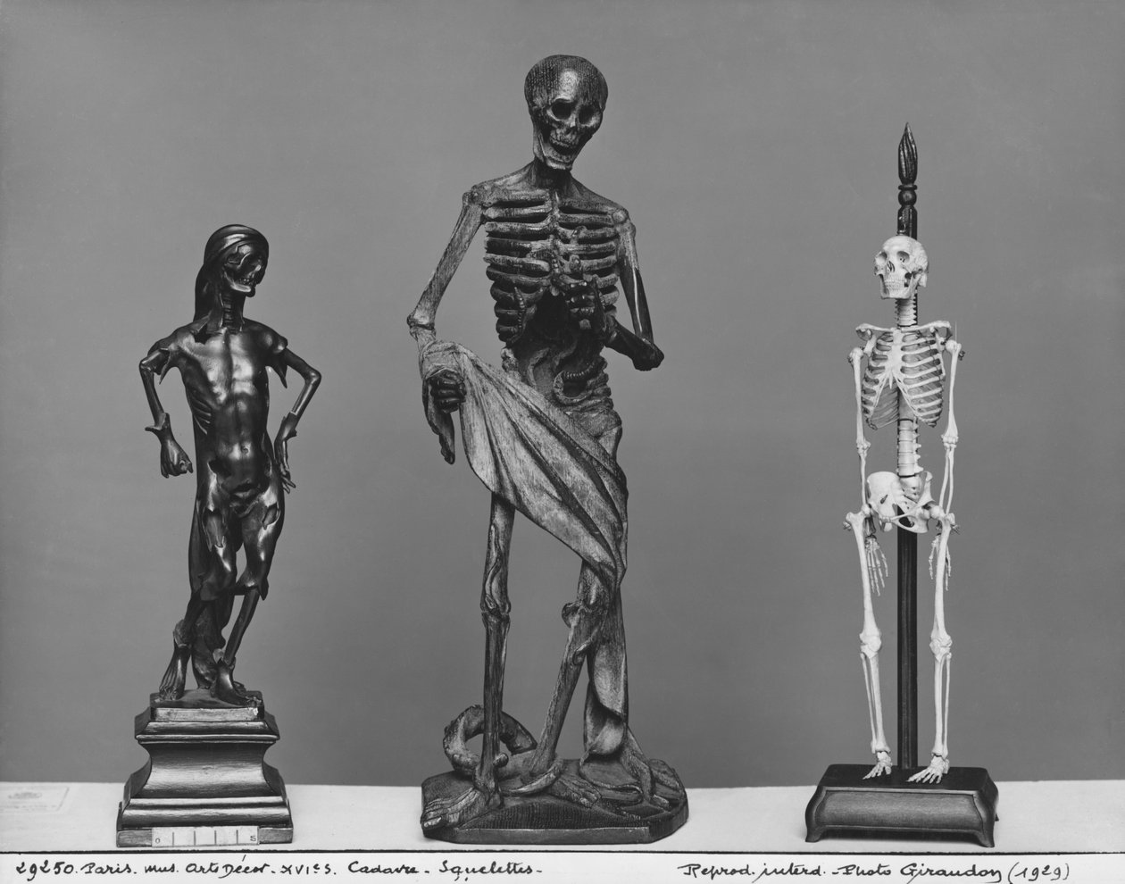 Corpse, Skeletons by French School