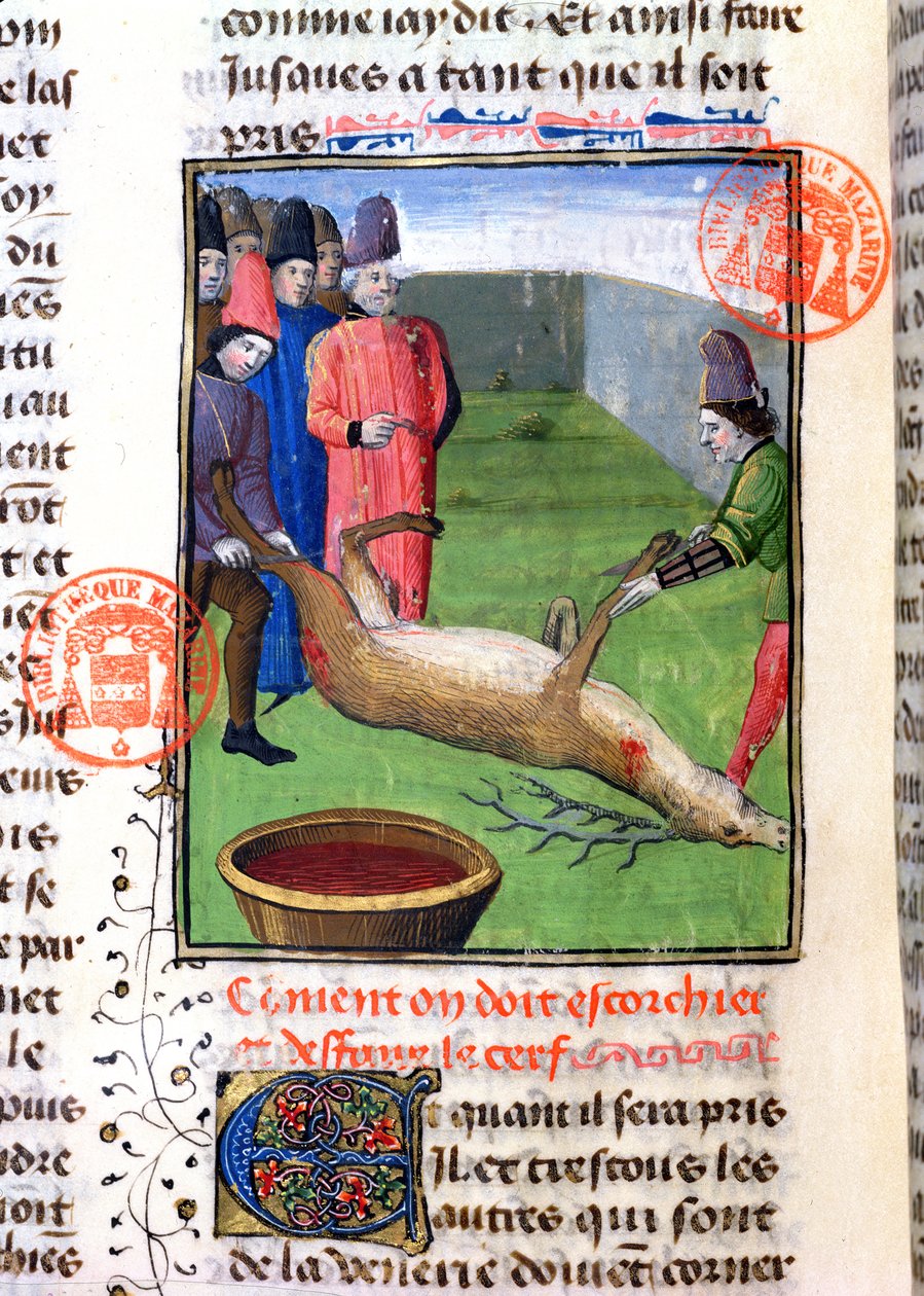 Cutting the Legs of a Dead Stag, from the Livre de la Chasse by Gaston Phebus de Foix (1331-91) by French School