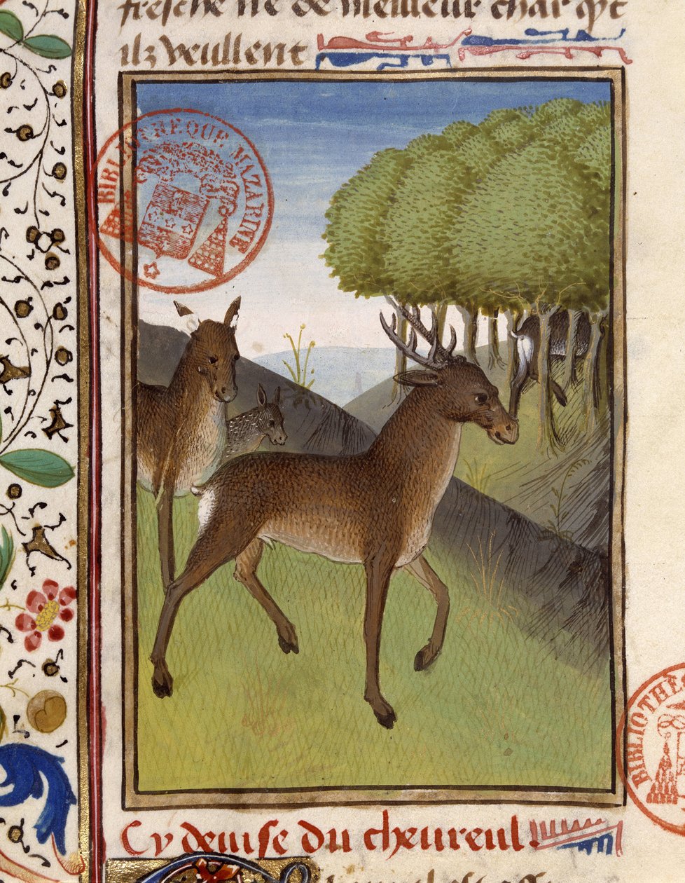 Deer and deer, from 
